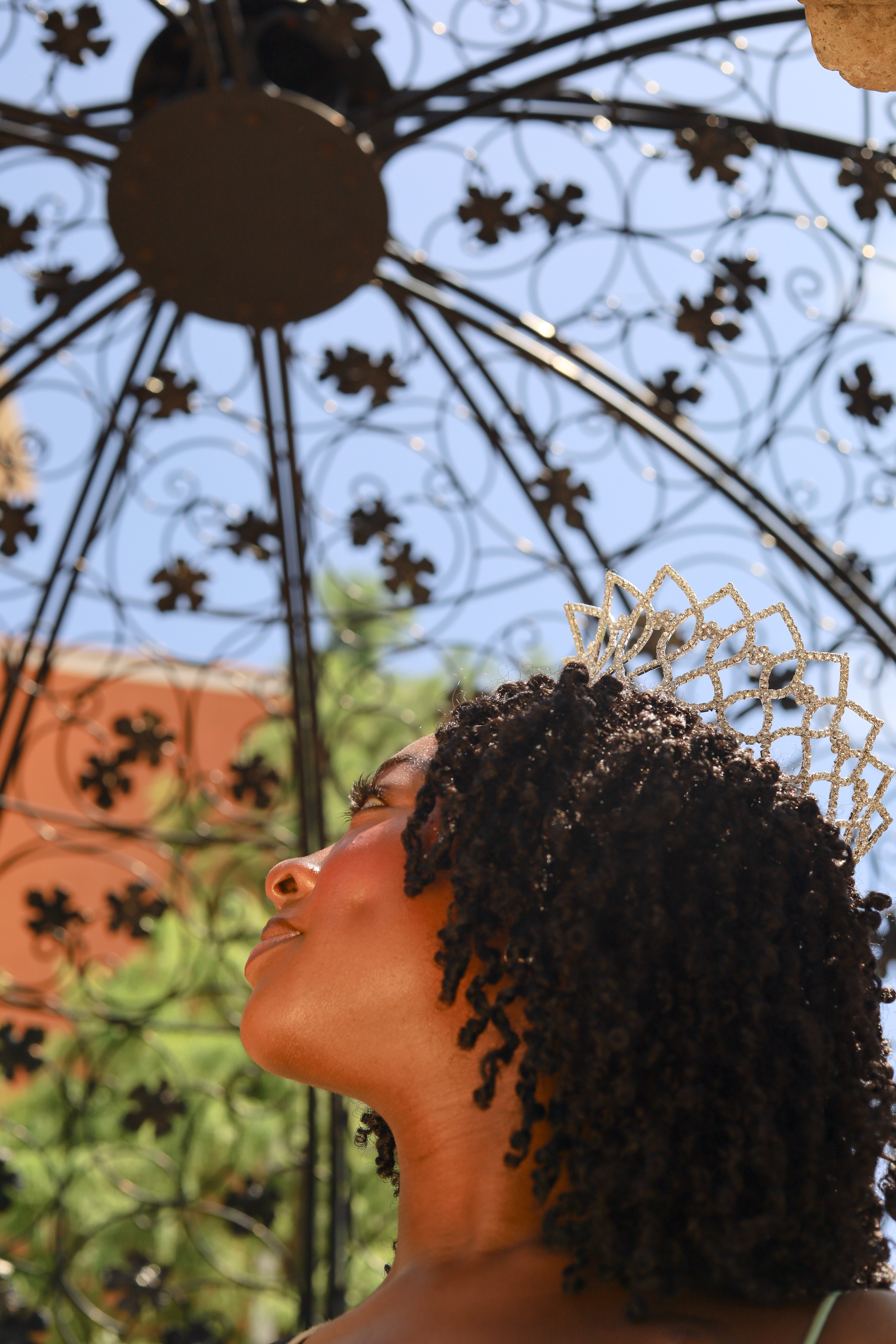 Queen of Soul community photo